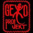 GEKKO PROJEKT IS SIGNED TO PROGROCK RECORDS AND RELEASES “ELECTRIC FOREST”