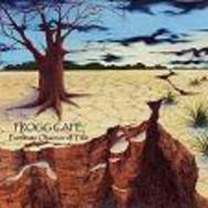 PROGROCK RECORDS SET TO RELEASE “Fortunate Observer of Time”, the latest from Frogg Café