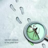 Seven Steps To The Green Door - Step in 2 My World